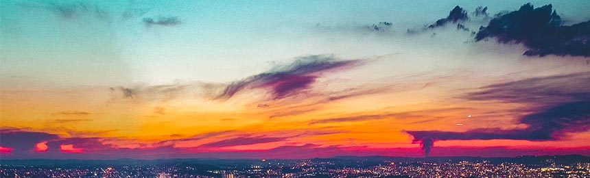 宁夏茶虫网_宁夏品茶